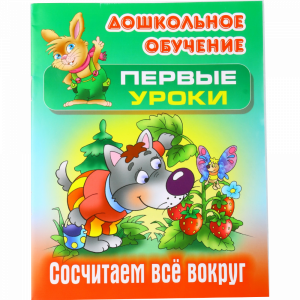 Книга  "Сосчитаем все вокруг" (А5+)