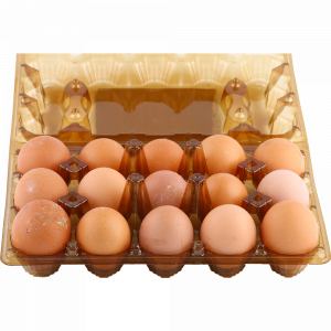 Яйцо куриное цветное С-1 (х15) МПФ