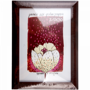 Рамка пласт со стекл21х30 Е68С E68C/2737