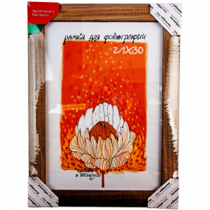 Рамка пласт со стекл21х30 Е68С E68C/2738