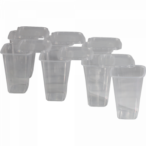 Контейнер "ДЛЯ ЯГОД" (с/крыш.500мл) 6 шт