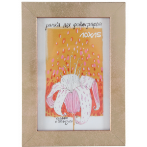 Рамка пласт. со стеклом (10х15