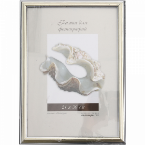 Рамка пласт.со стекл.21х30 25М/02 серебр