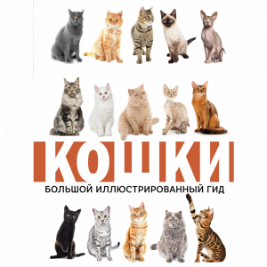 Книга "КОШКИ"