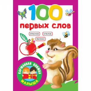 Книга"100 ПЕРВЫХ СЛОВ"