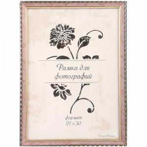 Рамка пласт. со стеклом 21х30 1713