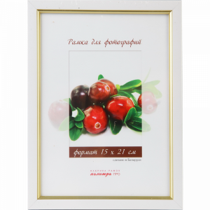 Рамка пласт. со стеклом 15х21 202